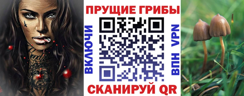 Галлюциногенные грибы Magic Shrooms blacksprut ссылки Игра